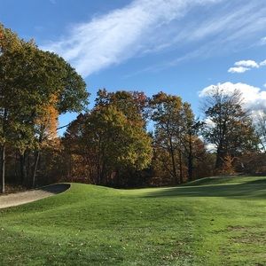 Meet your Posher, Ava